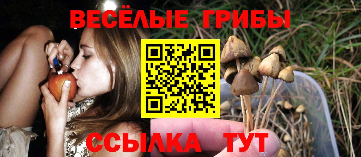 Галлюциногенные грибы Cubensis Камышин