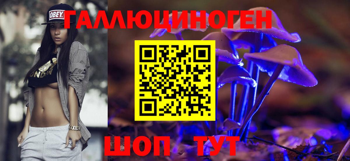 Псилоцибиновые грибы прущие грибы  Галлюциногенные грибы Cubensis  Камышин  Вход с VPN 