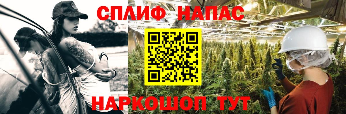Бошки марихуана MAZAR  Каннабис Amnesia  МАРИХУАНА конопля  Вход с VPN  Камышин 