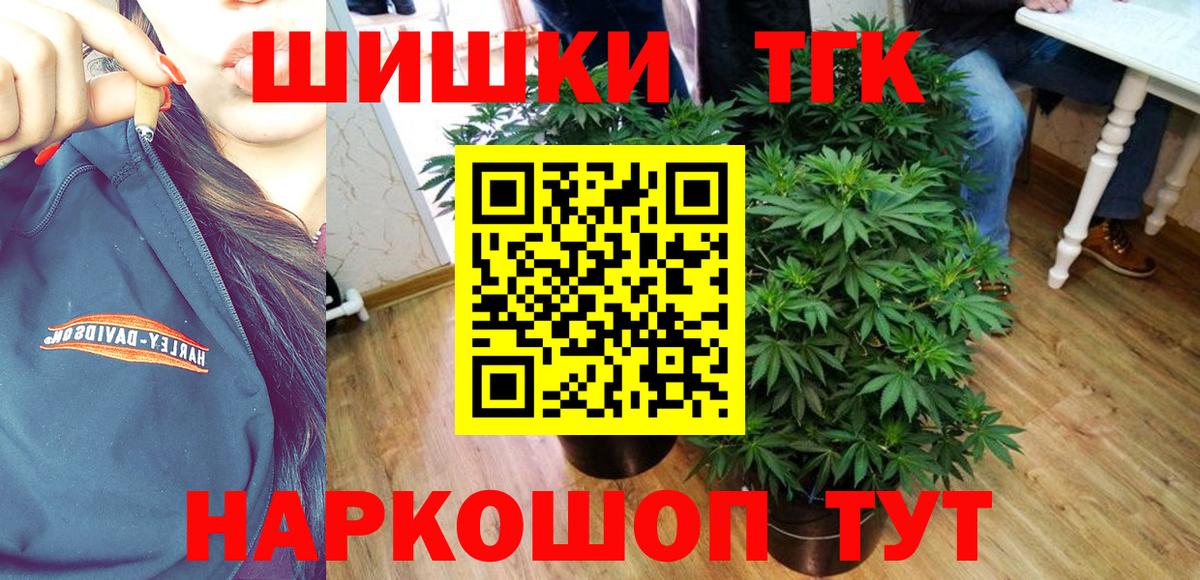 Бошки Шишки гибрид Камышин